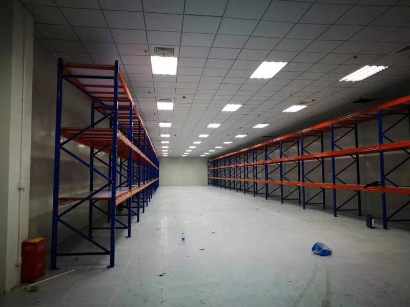 ����؛��